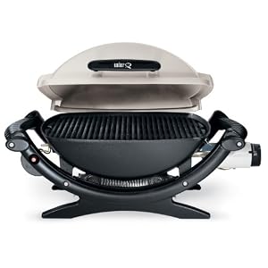 Weber 386002 Q 100 Portable Propane  Gas Grill