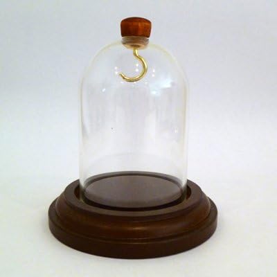 Glass and Walnut Short Mini Dome Display Case with Brass Hook for Jewelry