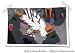 Jiraiya Naruto(2) Animated Comic, Size: 24