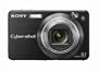 Sony Cybershot DSCW150/B 8.1MP Digital Camera with 5x Optical Zoom with Super Steady Shot (Black)