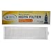 Bissell Style 8/14 Lift-Off Bagless HEPA Filter; Compare to Bissell Part# 3091
