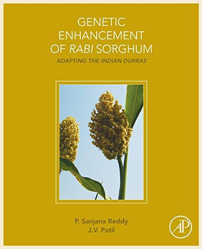 Genetic Enhancement of Rabi Sorghum: Adapting the Indian Durras
