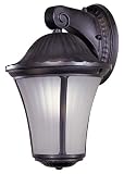 Amarante Heritage ENERGY STAR 14 1/2 Outdoor Light