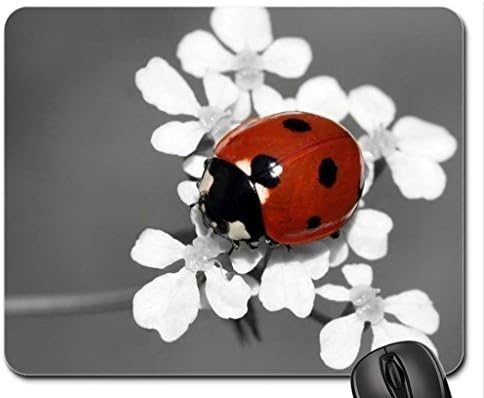 Ladybug Mouse Pad, Mousepad (Bugs Mouse Pad)