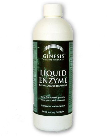 Ginesis Liquid Enzyme - 16 Ounce