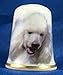 Porcelain China Collectable Thimble --- White Poodle Dog