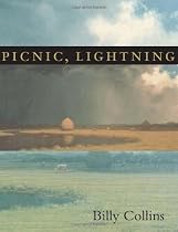 Picnic, Lightning