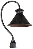World Imports Lighting 9001-89 Dark Sky Essen 1-Light Post, Bronze