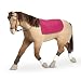 Nicki's Horse 