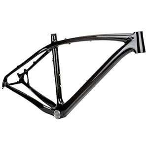 Nashbar Carbon 29