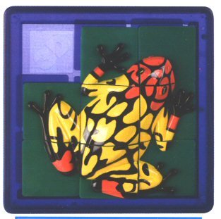 ORANGE FROG 3D SLIDE PUZZLE by Toysmith 41jBY7ZBBRL ORANGE FROG 3D SLIDE PUZZLE by Toysmith