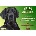 Metall - Warnschild Deutsche Dogge