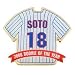 Chicago Cubs Geovany Soto Lapel Pin