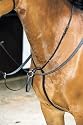 JHL Pro Running Martingale-Black- Full