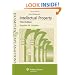 Intellectual Property: Examples & Explanations, Third Edition