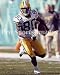 Donald Driver Green Bay Packers 8x10 Photo