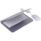 Goldengulf Newest 10.1 inch Mini Android 4.2 Computer Laptop Netbook Dual Core 4GB WIFI Camera(Silver)