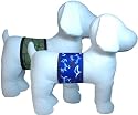 Belly Bands for Male Dogs with Incontinence Problems - Print