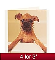 Wet Dog Blank Card