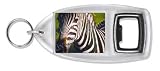 ZEBRA Bottle Opener
