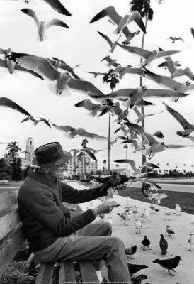 (13x19) Feeding Birds 1978 Archival Photo Poster
