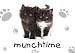 Munchtime Cats Standard Laminate Placemat
