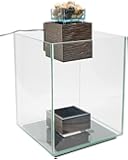 Fluval Chi II Aquarium Set, 5-Gallon