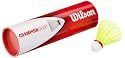 Wilson Badminton Nylon Federbälle Championship 6er Dose 79 (fast)