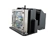 Projector Lamp for NEC VT560 200-Watt 3000-Hrs NSH (Replacement)