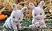 Toys : Calico Critters: Cottontail Rabbit Twins