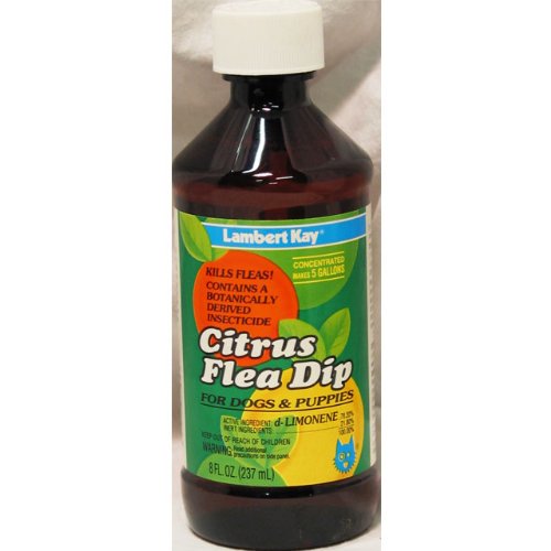 Lambert Kay Citrus Flea Dip
