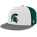 Zephyr Michigan State Spartans Green-White-Gray Triple Play Fitted Hat