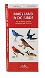 Maryland & DC Birds: An Introduction to Familiar Species (State Nature Guides)