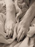 Manicure Please! - Print 8x12