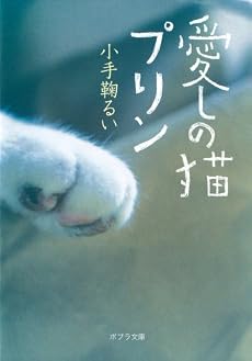 愛しの猫プリン (ポプラ文庫)