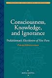 Consciousness, knowledge, and ignorance, Prakāśātman's Pañcapādikāvivaraṇa, 