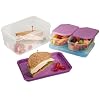 Fit & Fresh Lunch on the Go