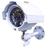 Color Bullet Marine Camera
