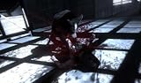 DEAD TO RIGHTS:RETRIBUTION