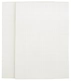 Whitelines Orange Glue A5 Squared Notepad (2 pack)