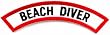 Beach Diver Chevron Patch Embroidered Iron On Scuba Diving Emblem Souvenir