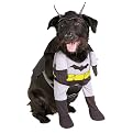 Batman 2005 Pet Costume