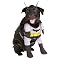 Batman 2005 Pet Costume