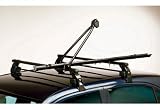 Review D2  / Standard 1 Bike Roof Fitting Rack.