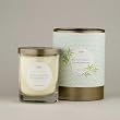 Asian Grove, KOBO Pure Soy Candle with Cylindrical Gift Box from the Origami Collection