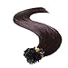 Sunny 50 Strands Straight Pre Bonded U Nail Keratin Tip Fusion Remy Human Hair Extensions(20 Inch 1g/s Total 50g #2 Dark Brown)