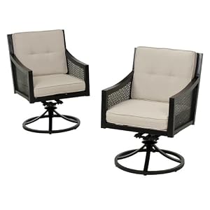 Smith & Hawken® Windsor Metal Swivel Rocker - Set of 2 by Smith & Hawken