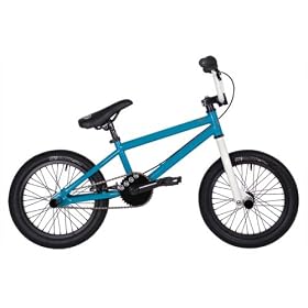 Hoffman Freestyle/BMX Bike
