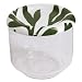 Sagaform Small Salad Bowl with Lid-High Edge