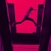 Mos Def-Ecstatic